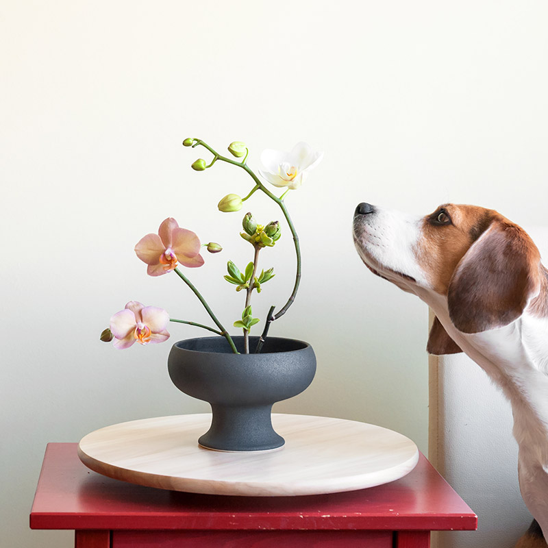 Liên hệ với chúng tôi